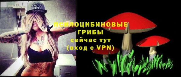 соль ск Зерноград