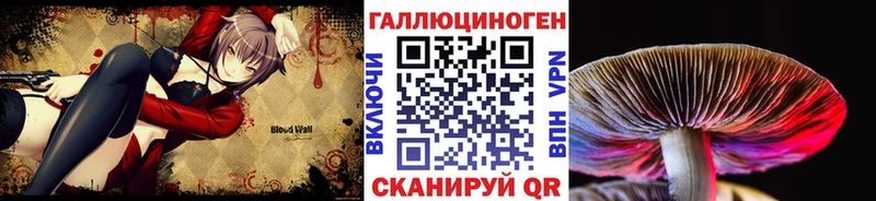Псилоцибиновые грибы Psilocybe  Купить закладки  Ермолино 